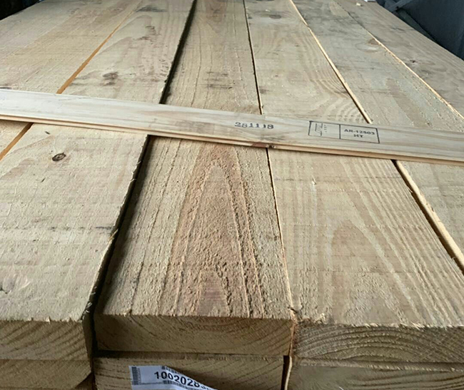 达拉特阿根廷松木